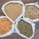 انواع خوراک طیور گوشتی و تخمگذار و درصد ترکیب + فرمولاسیون