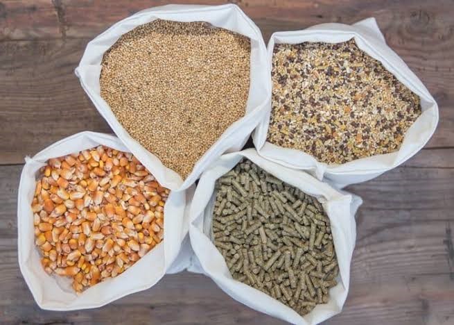 انواع خوراک طیور گوشتی و تخمگذار و درصد ترکیب + فرمولاسیون