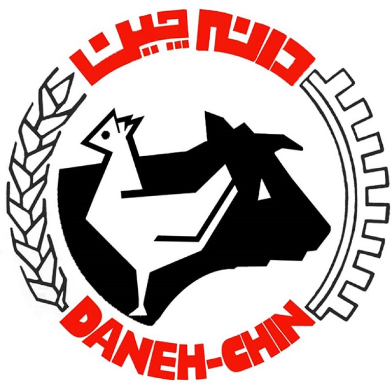 شرکت دانه چین