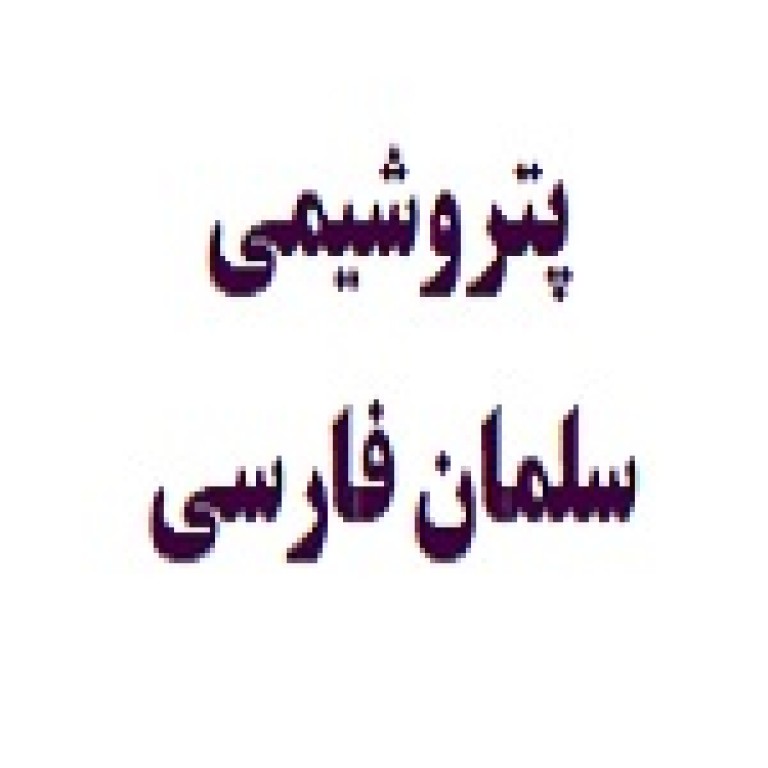 شرکت پتروشیمی سلمان فارسی