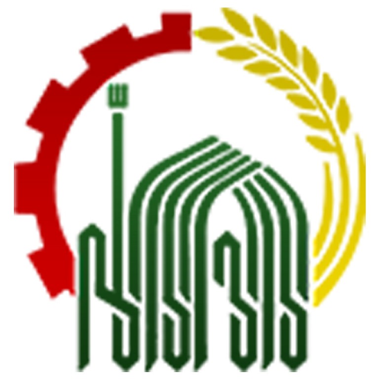 سازمان اقتصادی رضوی