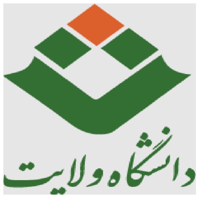 دانشگاه ولایت ایرانشهر 