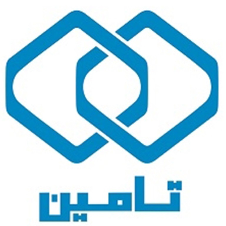 شرکت مشاور مدیریت و خدمات ماشینی تامین