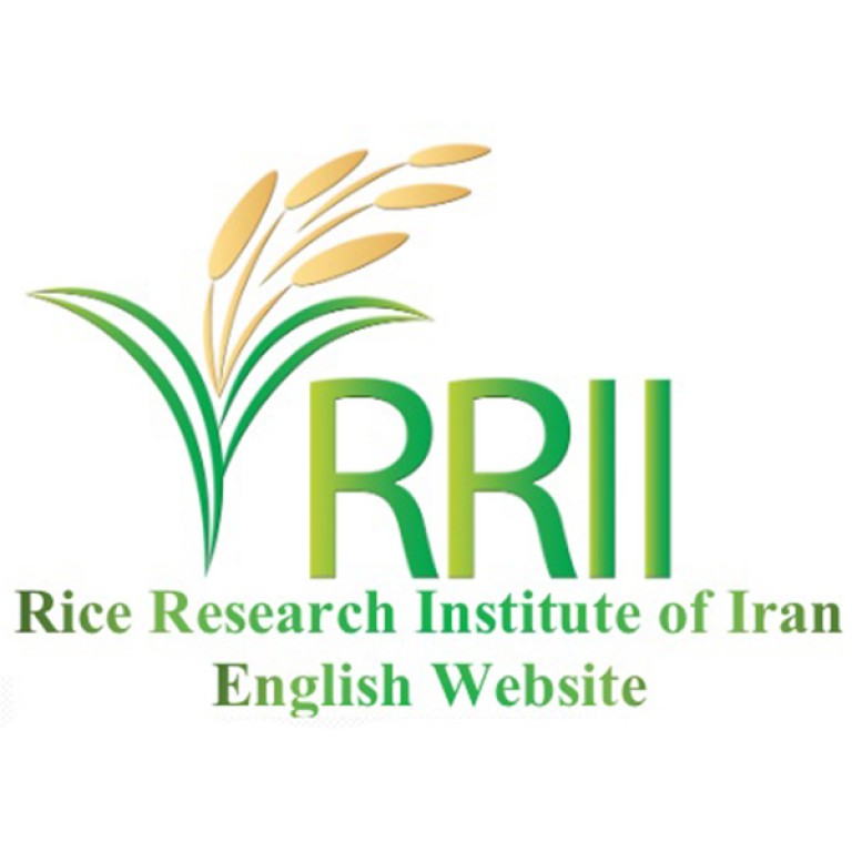 موسسه تحقیقات برنج کشور 